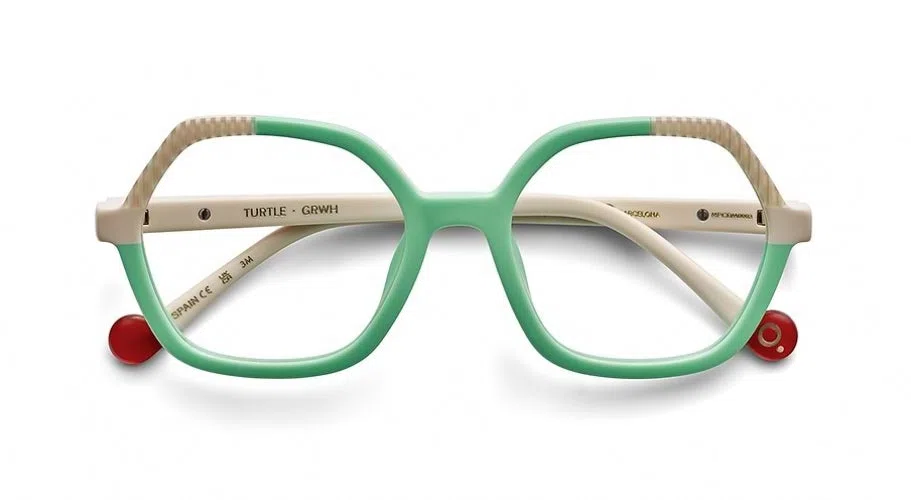 Etnia Barcelona TURTLE Eyeglasses - view 7